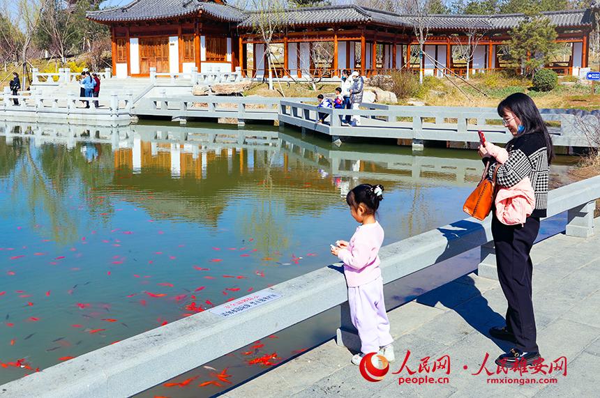 雄安悅容公園一角，不少家長帶著孩子前來游玩。人民網宋燁文攝