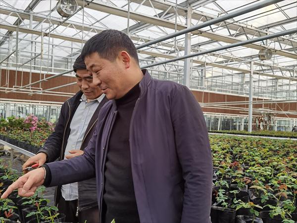 諸新良和農(nóng)戶一起研究花木種植技術(shù)。受訪者供圖
