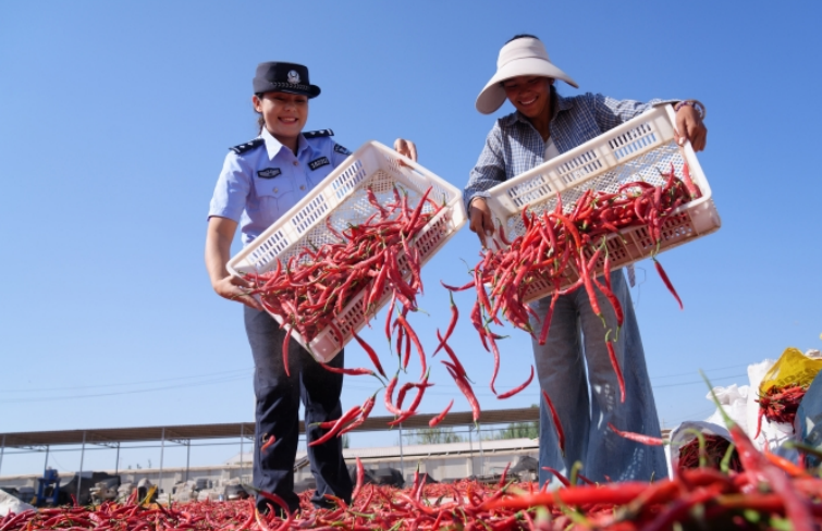 民警幫助農(nóng)戶(hù)曬辣椒